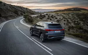   Audi Q5 TFSI quattro S line - 2024