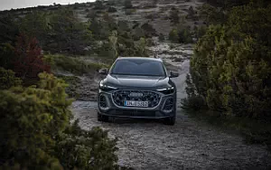   Audi Q5 TFSI quattro S line - 2024