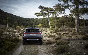   Audi Q5 TFSI quattro S line - 2024