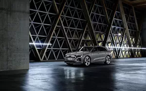   Audi Q8 55 e-tron quattro - 2022