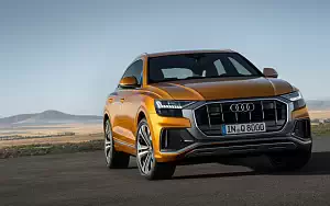   Audi Q8 50 TDI quattro S line - 2018