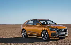   Audi Q8 50 TDI quattro S line - 2018