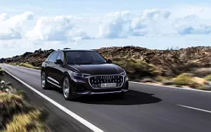   Audi Q8 55 TFSI e quattro - 2024