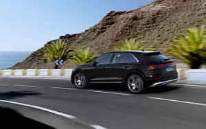   Audi Q8 55 TFSI e quattro - 2024