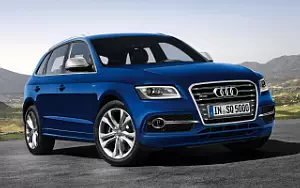   Audi SQ5 TDI - 2012