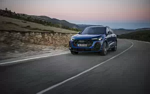   Audi SQ5 TFSI - 2024