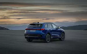   Audi SQ5 TFSI - 2024
