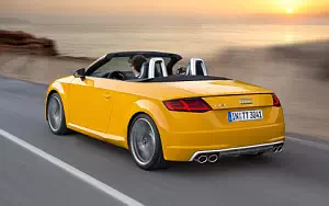   Audi TTS Roadster - 2014