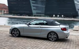   BMW 228i Convertible - 2014