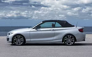   BMW 228i Convertible - 2014