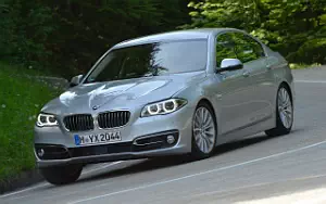   BMW 530d Luxury Line - 2013