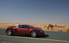   Bugatti Veyron Red - 2008