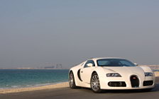   Bugatti Veyron White - 2008