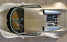   Bugatti Veyron Gold Edition - 2009