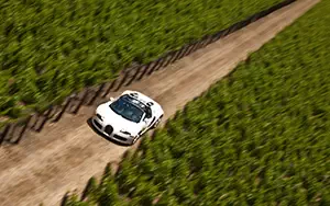   Bugatti Veyron Grand Sport Roadster US-spec - 2009