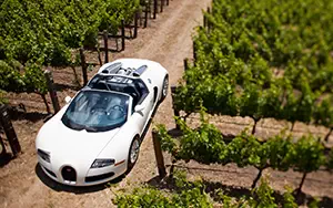   Bugatti Veyron Grand Sport Roadster US-spec - 2009