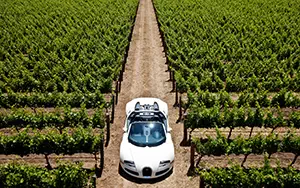   Bugatti Veyron Grand Sport Roadster US-spec - 2009