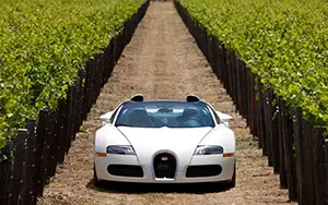   Bugatti Veyron Grand Sport Roadster US-spec - 2009