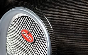   Bugatti Veyron Grand Sport Roadster - 2010