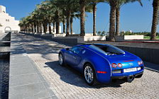   Bugatti Veyron 16.4 Grand Sport - 2011