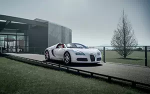   Bugatti Veyron Grand Sport Roadster Wei Long - 2012