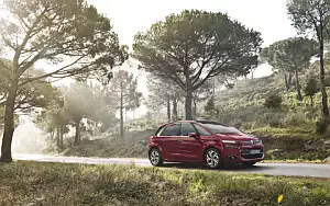   Citroen C4 Picasso - 2013