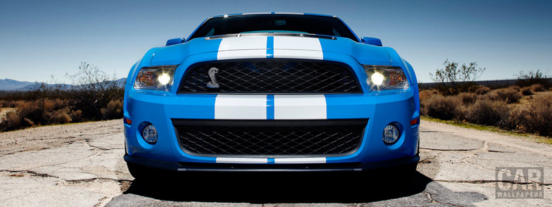 Обои автомобили Ford Mustang Shelby GT500 - 2010 - Car wallpapers