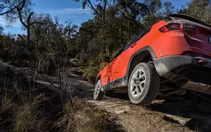   Jeep Compass Trailhawk - 2017