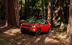   Jeep Compass Trailhawk - 2017