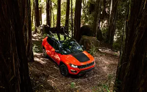   Jeep Compass Trailhawk - 2017