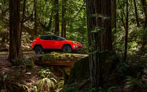   Jeep Compass Trailhawk - 2017