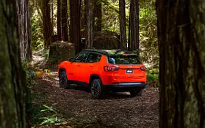   Jeep Compass Trailhawk - 2017