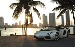   Lamborghini Aventador LP 700-4 Roadster - 2013