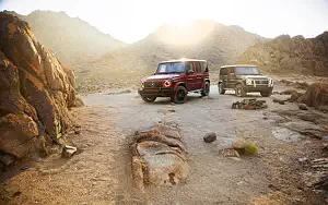Обои автомобили Mercedes-Benz G 550 and Mercedes-AMG G 63 US-spec - 2018