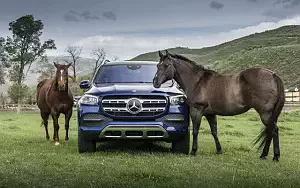 Обои автомобили Mercedes-Benz GLS 450 4MATIC US-spec - 2019