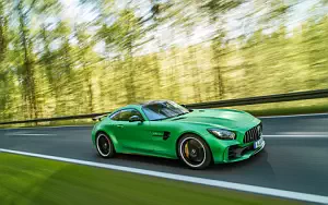   Mercedes-AMG GT R - 2016