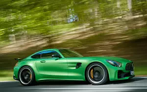   Mercedes-AMG GT R - 2016