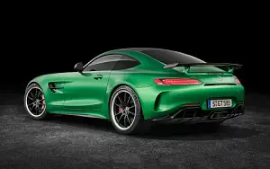 Обои автомобили Mercedes-AMG GT R - 2016