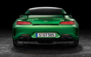 Обои автомобили Mercedes-AMG GT R - 2016