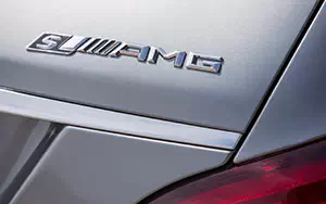   Mercedes-Benz CLS63 AMG S-Model Shooting Brake - 2014