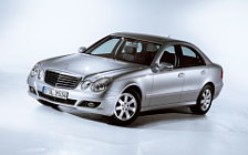   Mercedes-Benz E-class Classic - 2006