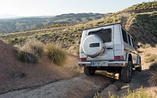   Mercedes-Benz G350 BlueTEC - 2012