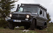   Mercedes-Benz G-class Professional - 2012