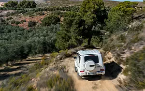   Mercedes-AMG G 63 - 2018
