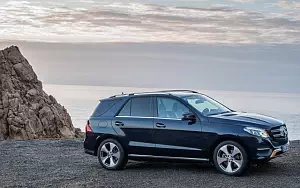   Mercedes-Benz GLE 250 d 4MATIC - 2009
