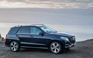   Mercedes-Benz GLE 250 d 4MATIC - 2009