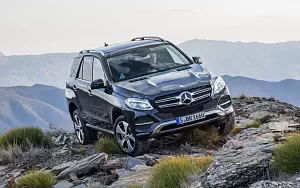   Mercedes-Benz GLE 250 d 4MATIC - 2009
