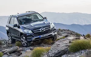   Mercedes-Benz GLE 250 d 4MATIC - 2009