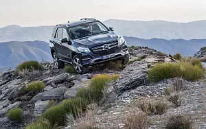   Mercedes-Benz GLE 250 d 4MATIC - 2009