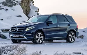   Mercedes-Benz GLE 250 d 4MATIC - 2009